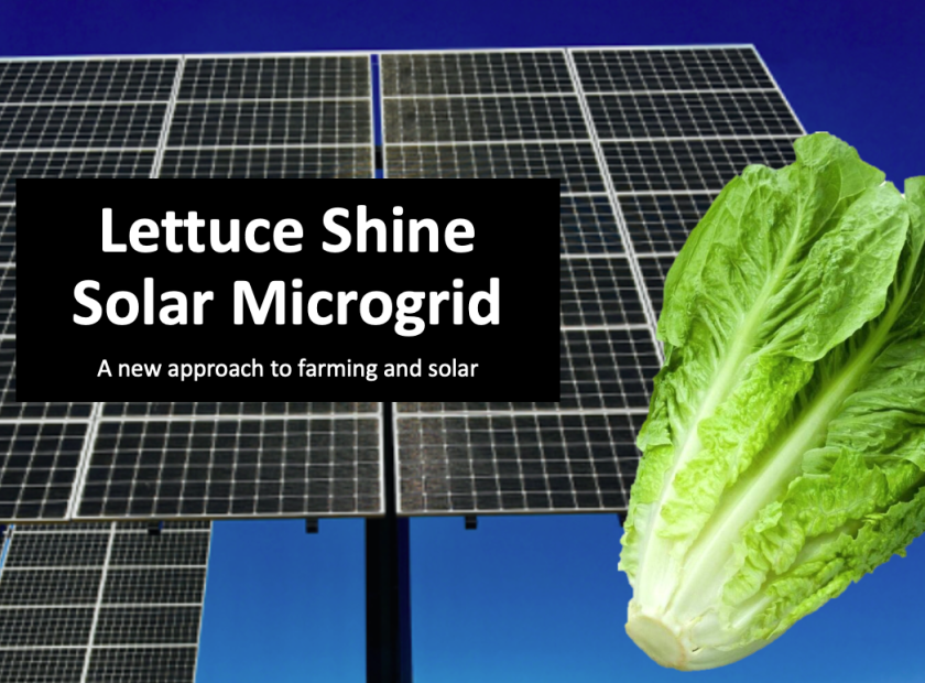 Lettuce Shine Agrivoltaics Microgrid Agrisolar